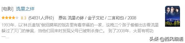 东野圭吾十部必看剧（东野圭吾作品翻拍的48部影视剧）(11)