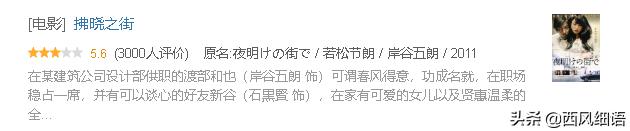 东野圭吾十部必看剧（东野圭吾作品翻拍的48部影视剧）(64)