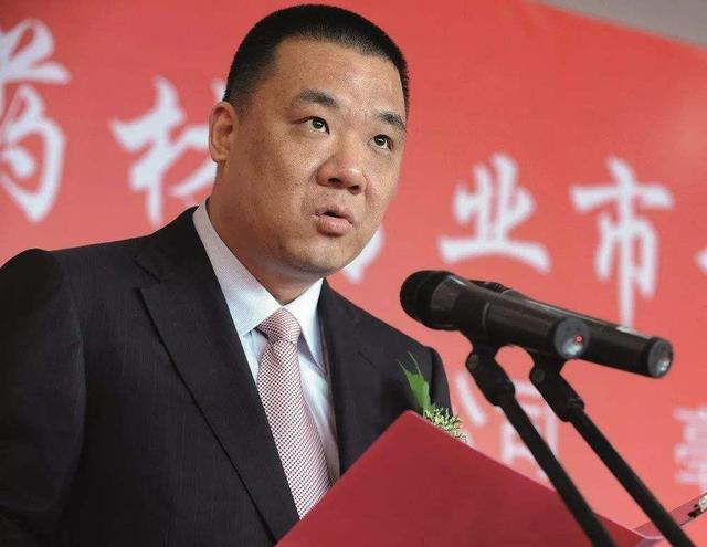 深圳普宁首富黄楚龙（这个普宁富豪终于入狱了）(29)