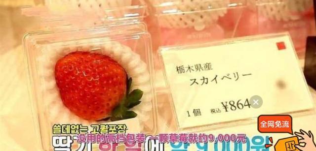 秋瓷炫孕期尽情吩咐老公，网友：这期节目后韩国女人都想嫁到中国