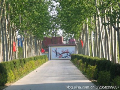 ​我的家乡周家庄：全国仅存的人民公社