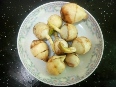 ​它有一个吉祥的名字叫慈菇，用五花肉焖煮，是岭南人年夜饭的常客