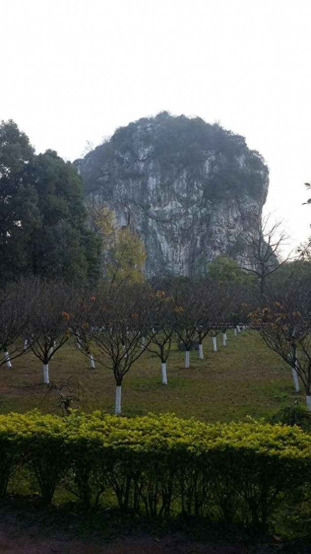 马坝人遗址:岭南地区最早发现有原始人居住痕迹的地方