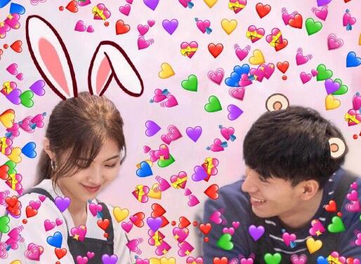 心动的信号张天职业