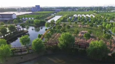 ​华亭镇：走出一条有特色的乡村振兴路