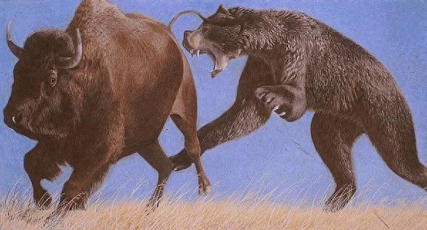 熊科中的强者——古生物短面熊