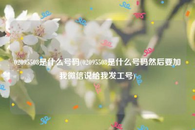 ​02095508是什么号码(02095508是什么号码然后要加我微信说给我发工号)