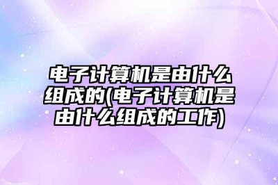 ​电子计算机是由什么组成的(电子计算机是由什么组成的工作)