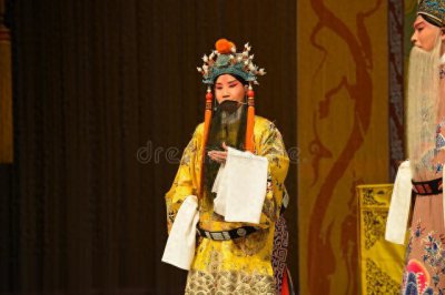 ​狸猫换太子的传奇:宋朝宫廷的惊天阴谋