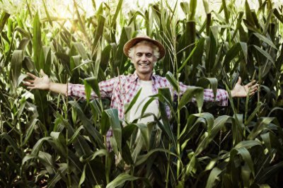 ​苏联农业集体化化