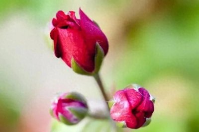 ​5个利润不错的小区小生意，无人问津，想创业挣钱的值得考虑！