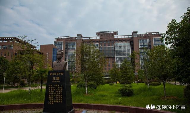 江西景德镇陶瓷大学的排名（高校解读-景德镇陶瓷大学）(3)