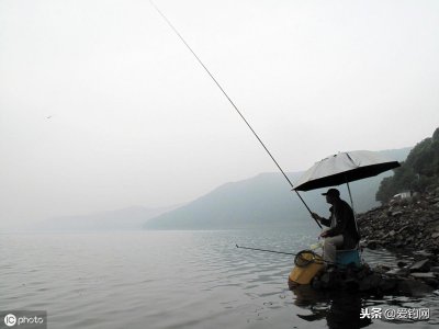 ​野钓鲫鱼的三个实用技巧