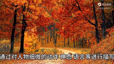 ​写作技巧：细节描写的好处！