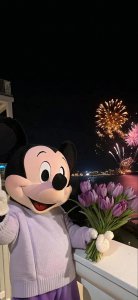 ​米奇，米妮壁纸