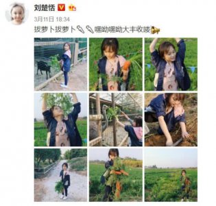 ​刘楚恬一家三口的照片(小芈月刘楚恬又变样了)