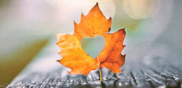 怎么跟父母说自己的心事