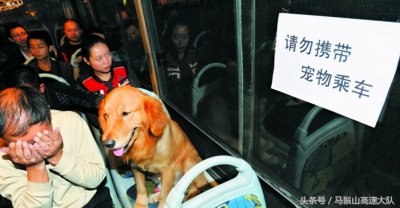 ​坐长途汽车可以带宠物吗