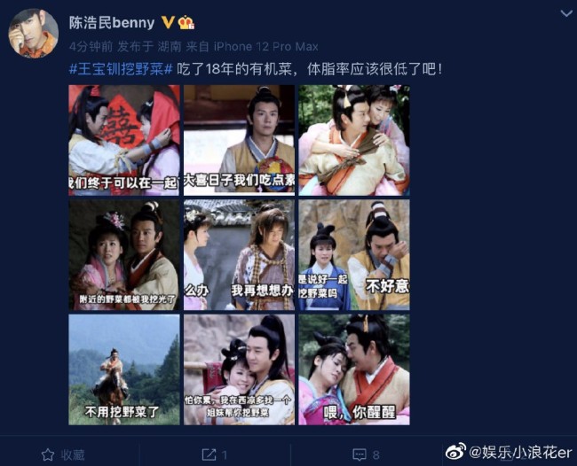 陈浩民回应王宝钏挖野菜