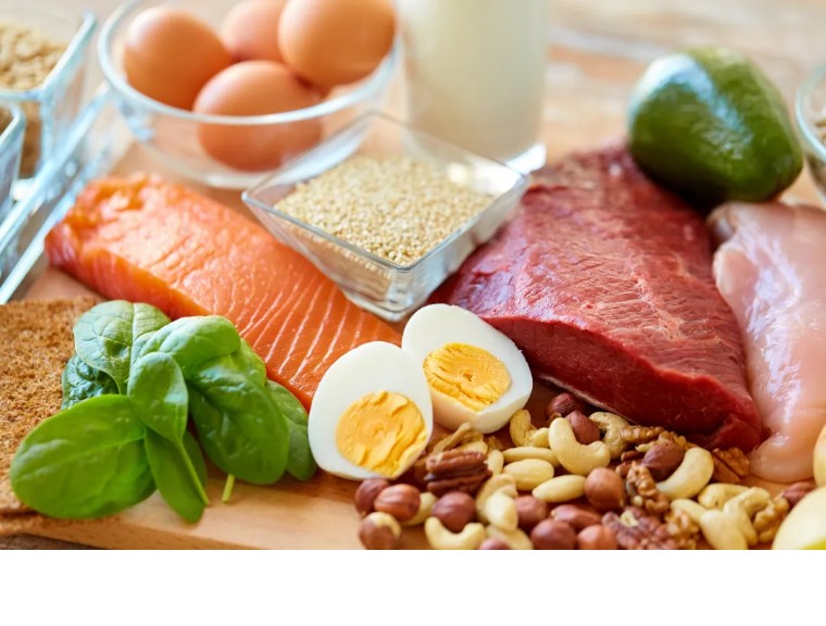 优质蛋白质食物有哪些（优质蛋白质十佳食物分享）