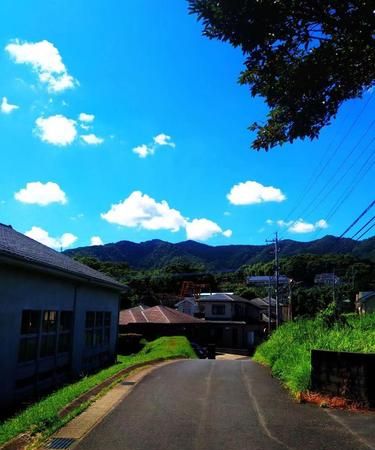 异国他乡的意思,赤足行在他乡路满目皆是异乡人什么意思图4