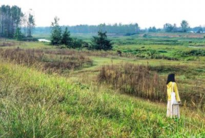 ​阳光明媚比喻什么意思 阳光明媚的造句