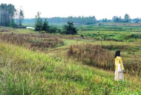 阳光明媚比喻什么意思 阳光明媚的造句