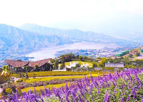 阳光明媚比喻什么意思 阳光明媚的造句