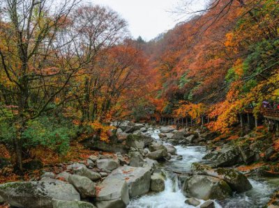 ​四川省巴中市十大旅游景点排行榜（巴中旅游景点推荐）