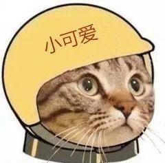 嘿，你要的外卖头像原图，还附送一大波斗头像专用表情包