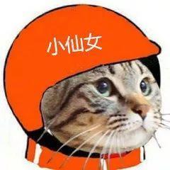 嘿，你要的外卖头像原图，还附送一大波斗头像专用表情包