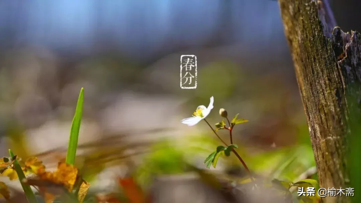 四时八节什么意思（一文读懂古代四时八节的含义）