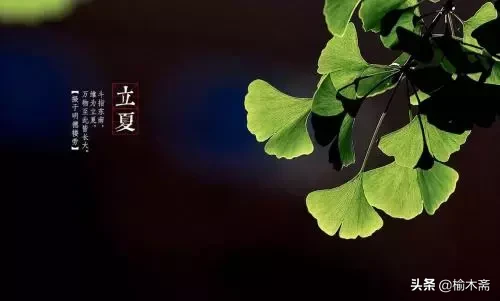四时八节什么意思（一文读懂古代四时八节的含义）