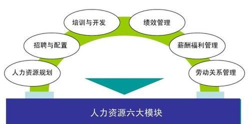 人力资源六大模块包括哪些内容