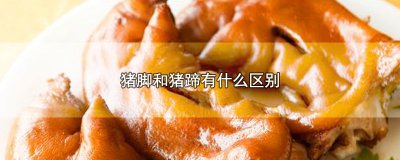 ​猪脚和猪蹄有什么区别