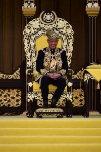 ​马来西亚新任最高元首正式登基