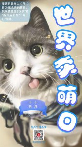 ​海报丨世界卖萌日