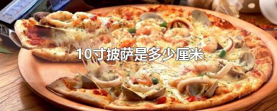 ​10寸披萨是多少厘米
