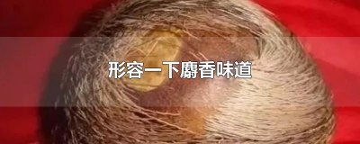 ​形容一下麝香味道