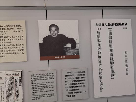 延安的宝塔山简介（你不一定知道的延安）(10)