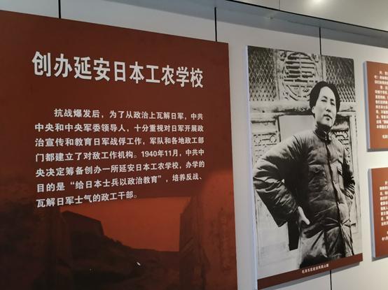 延安的宝塔山简介（你不一定知道的延安）(8)