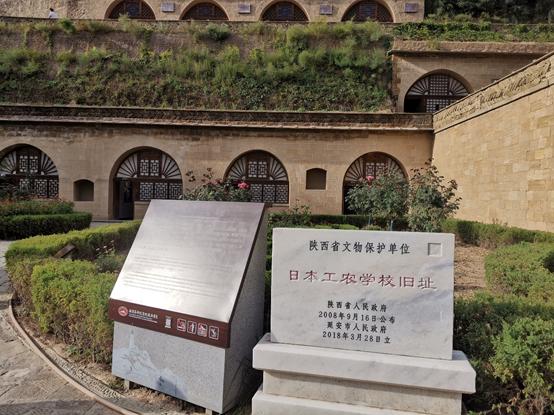 延安的宝塔山简介（你不一定知道的延安）(7)