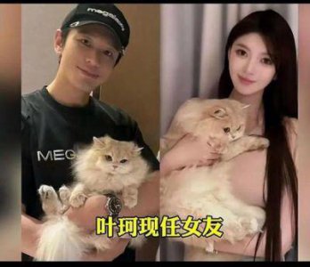 ​探讨李菲儿采访：黄晓明与叶珂关系引发网友热议