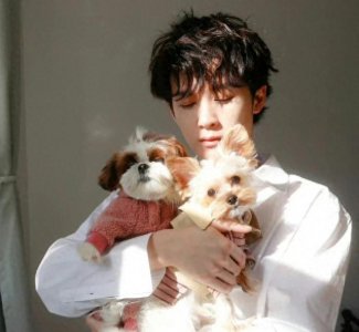 ​檀健次做客李佳琦直播间，带着两只狗狗让他颜面尽失，笑翻全场!