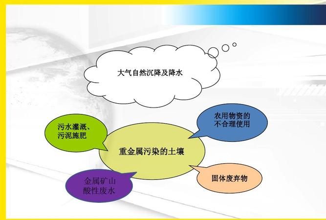 重金属污染的主要来源是什么