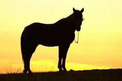 ​迟子建的经典作品《一匹马两个人》，温情中夹杂着苍凉与悲伤