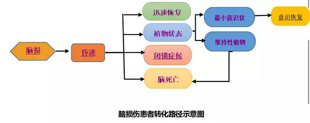 昏迷20天被宣告植物人有奇迹吗（沉睡11年的植物人被拔管引争议）(3)