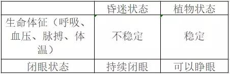 昏迷20天被宣告植物人有奇迹吗（沉睡11年的植物人被拔管引争议）(4)
