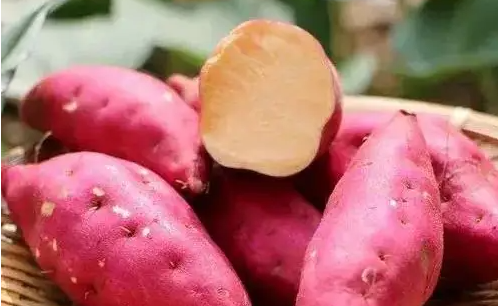 白露吃什么传统食物,白露时节图5