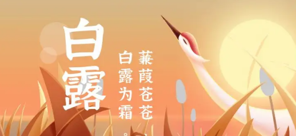 白露吃什么传统食物,白露时节图1